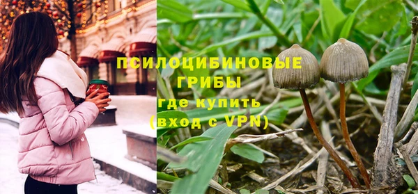 дмт Алзамай