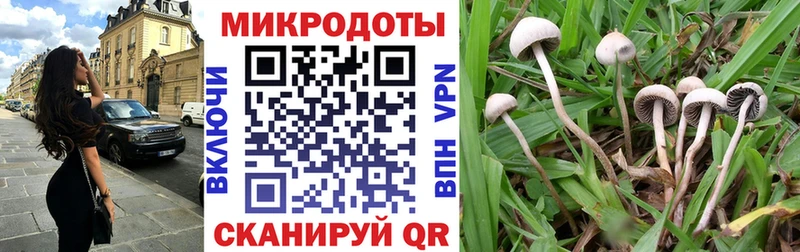 Псилоцибиновые грибы Magic Shrooms  Южно-Сухокумск 